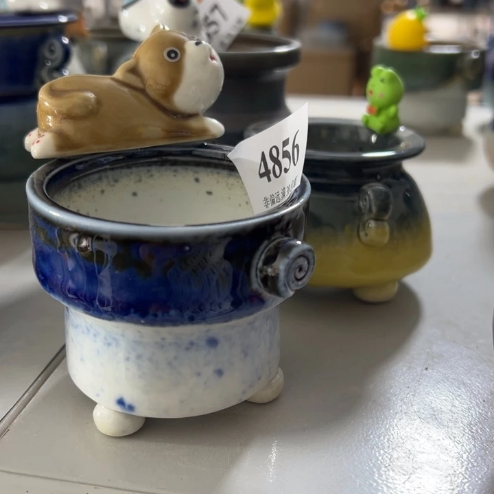 小***冰口6 未满30运费到付