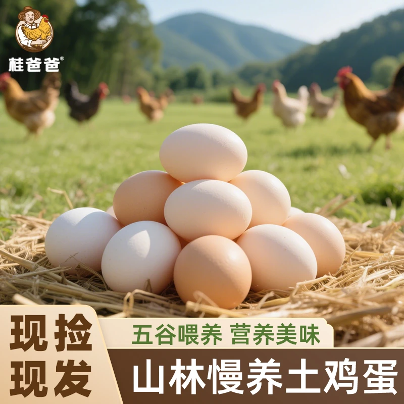 广西灵山香鸡散养土鸡蛋新鲜