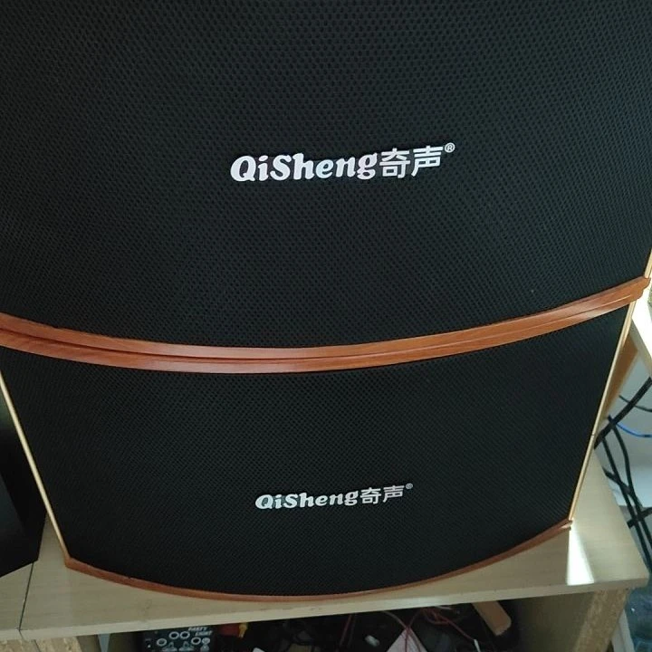 99新 不包邮 95新奇声10寸卡包音箱 不支持无理由退货