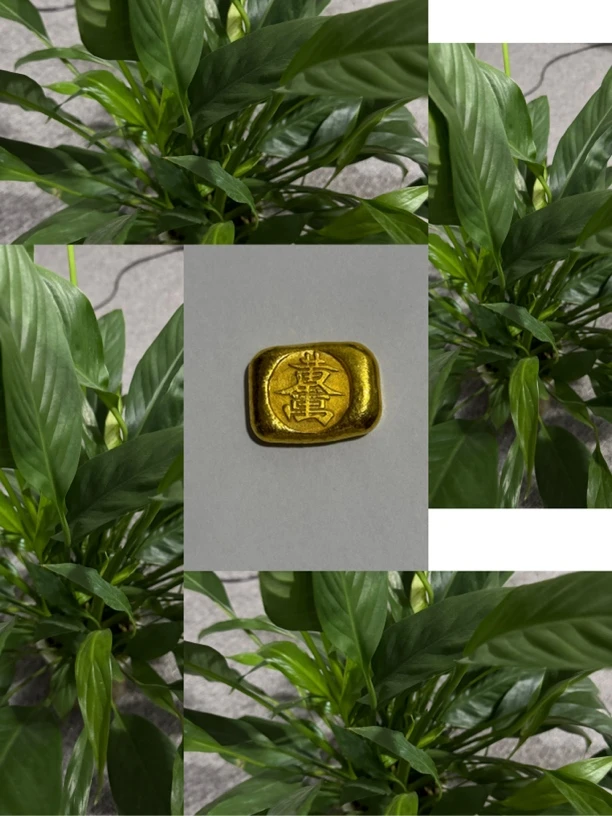 【三哥严选】高端精选摆件两多样性发其一