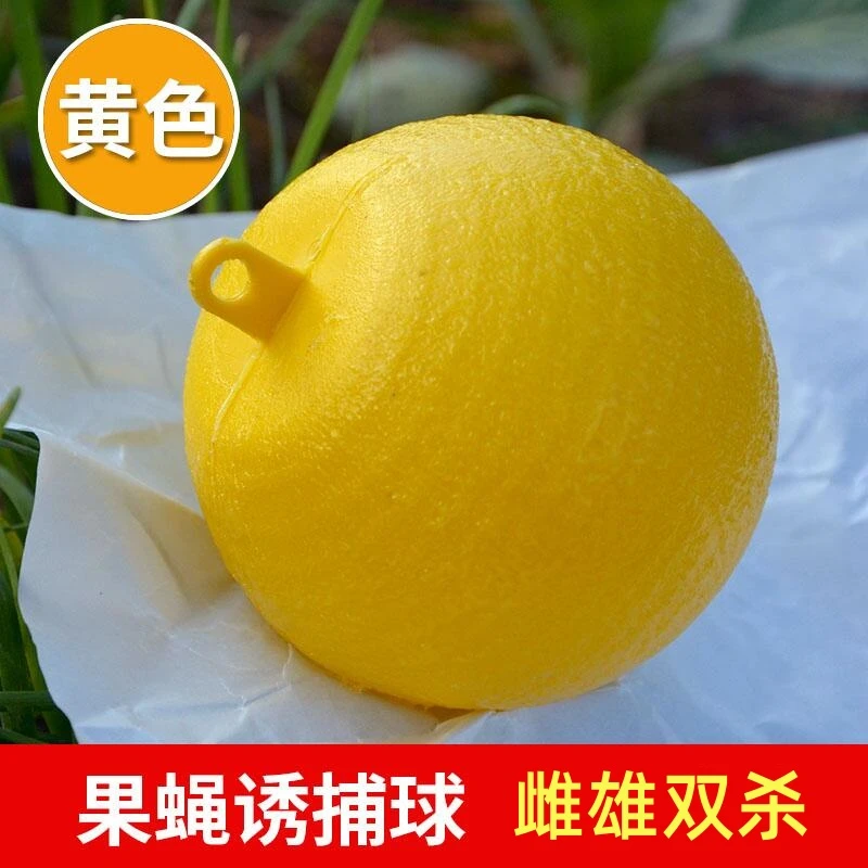 果蝇诱捕器粘虫球双面黄板纸瓜果实蝇贴诱蝇球丝针蜂马蜂色引诱剂