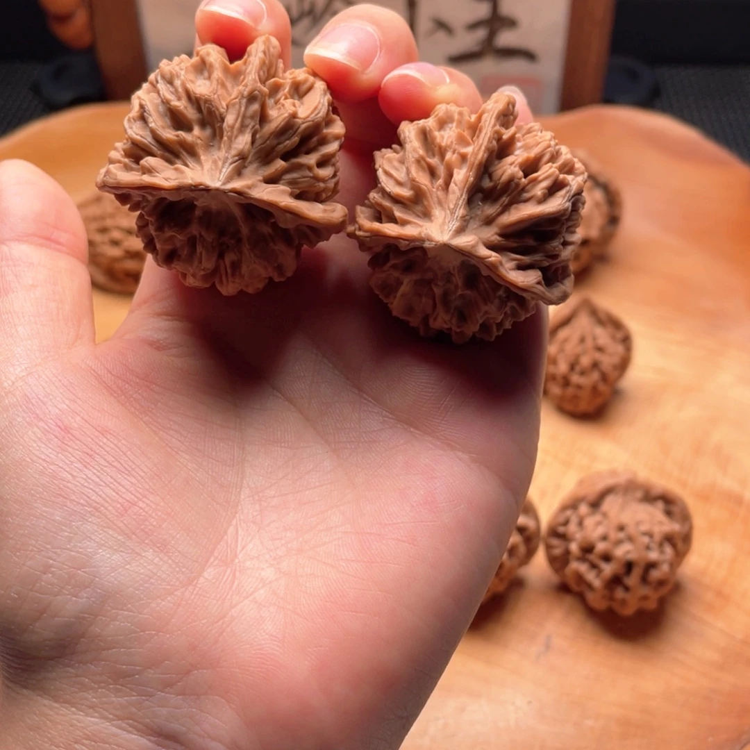 郭***纲核桃手串/手链秦岭秦闷小王同学