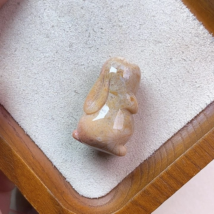 硅化玉颈饰未镶嵌