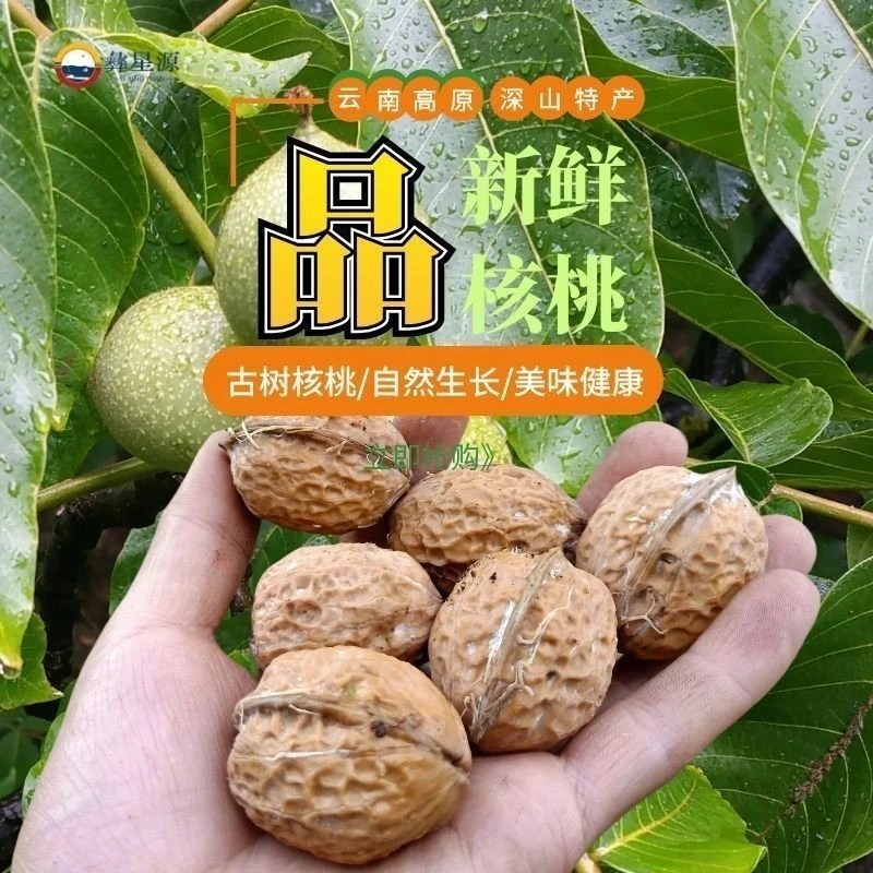 云南核桃老树核桃新鲜去青皮湿核桃香脆可口嫩肉老人小孩孕妇零食