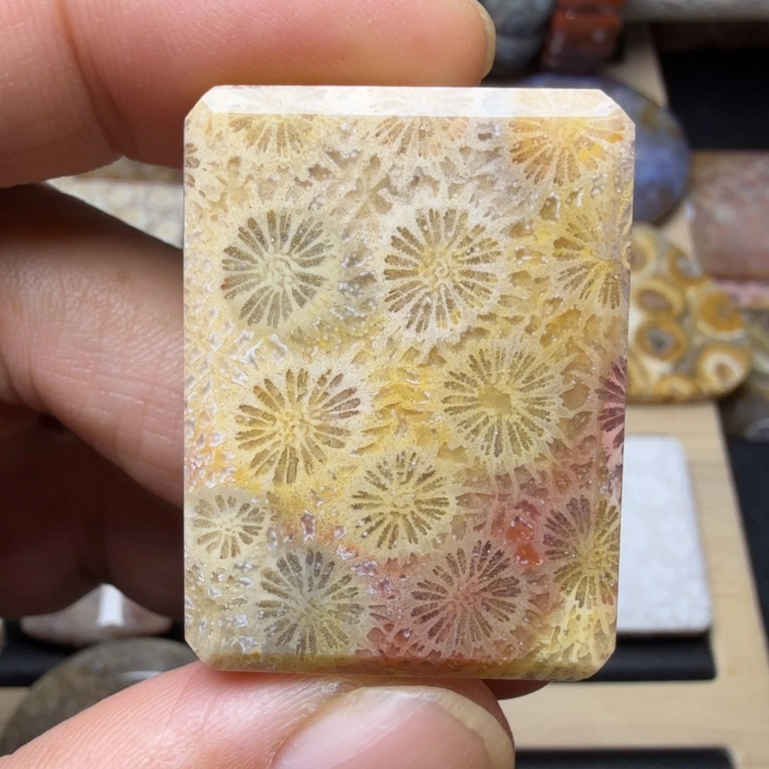 硅化玉未镶嵌纯天然色有机玉石保真色