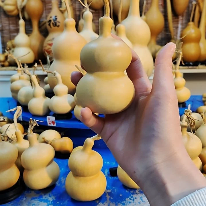 孑*他他他他他他他他他他