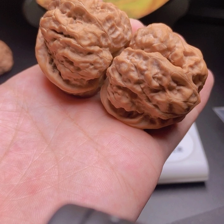 核桃43.45肌肉大蹬腿开背