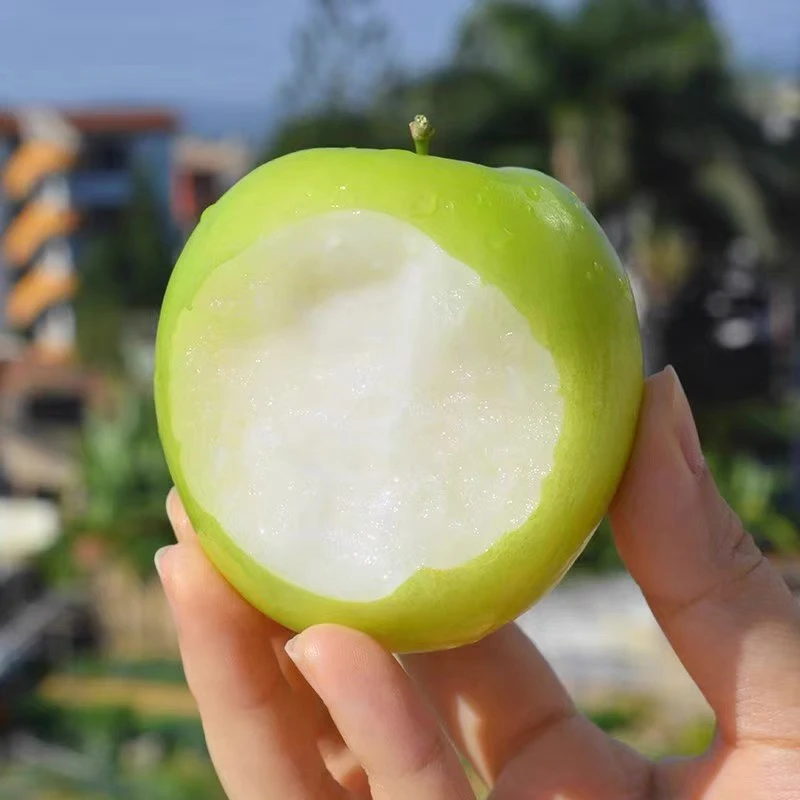 福建漳州牛奶枣青枣3斤5斤包邮