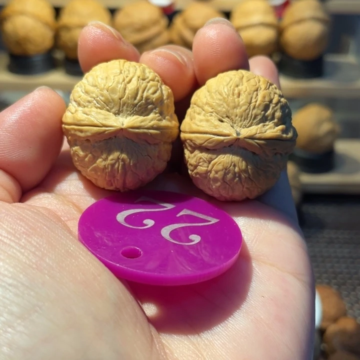 帝王蛇皮球32尺铁核桃