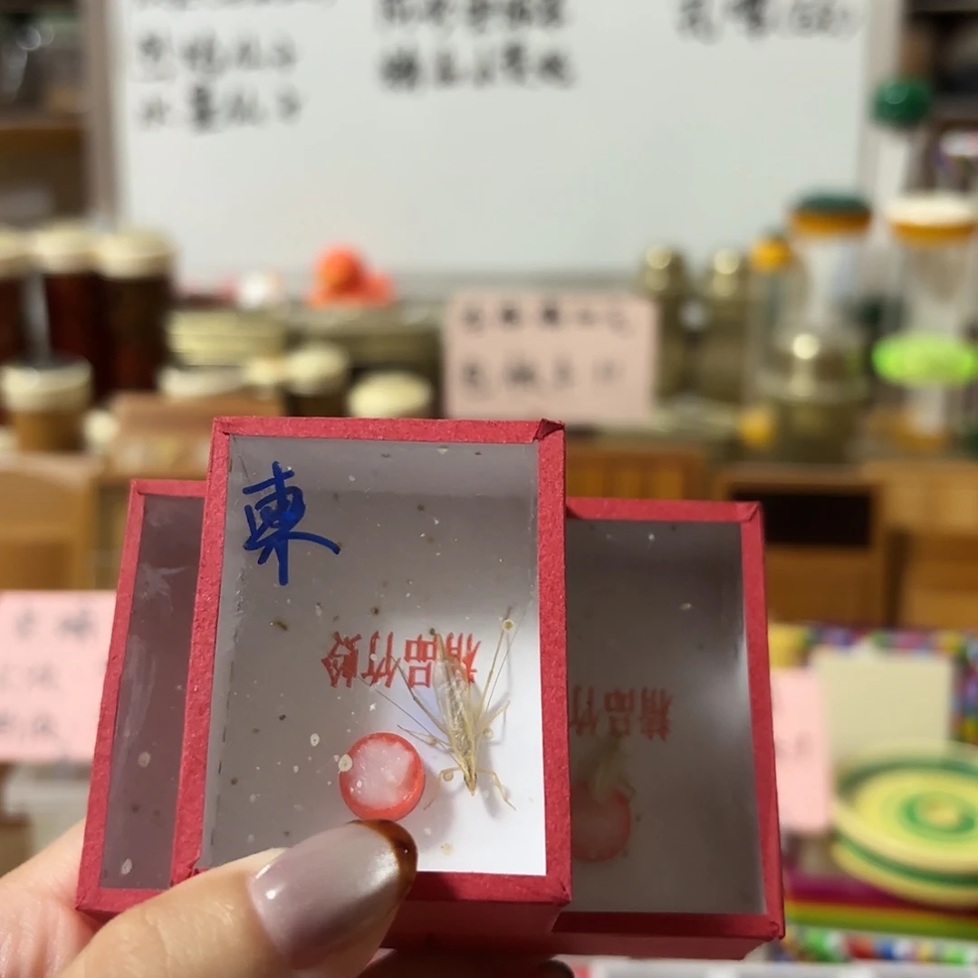 三条中须柬埔寨竹蛉