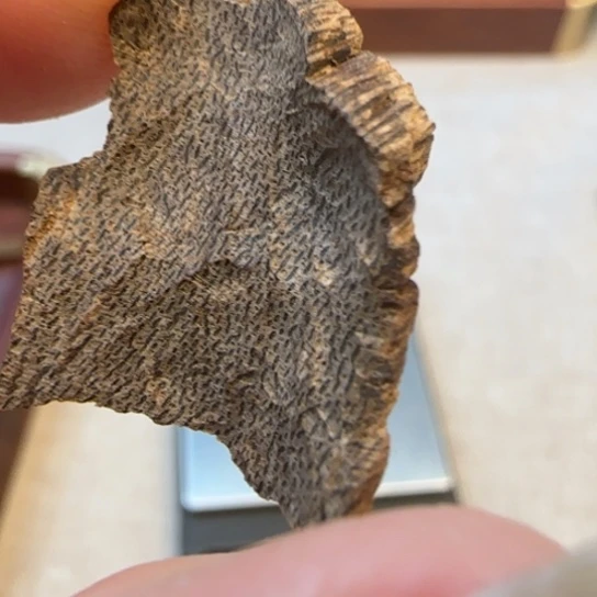 沉香摆件海南野生沉水包头0.9克