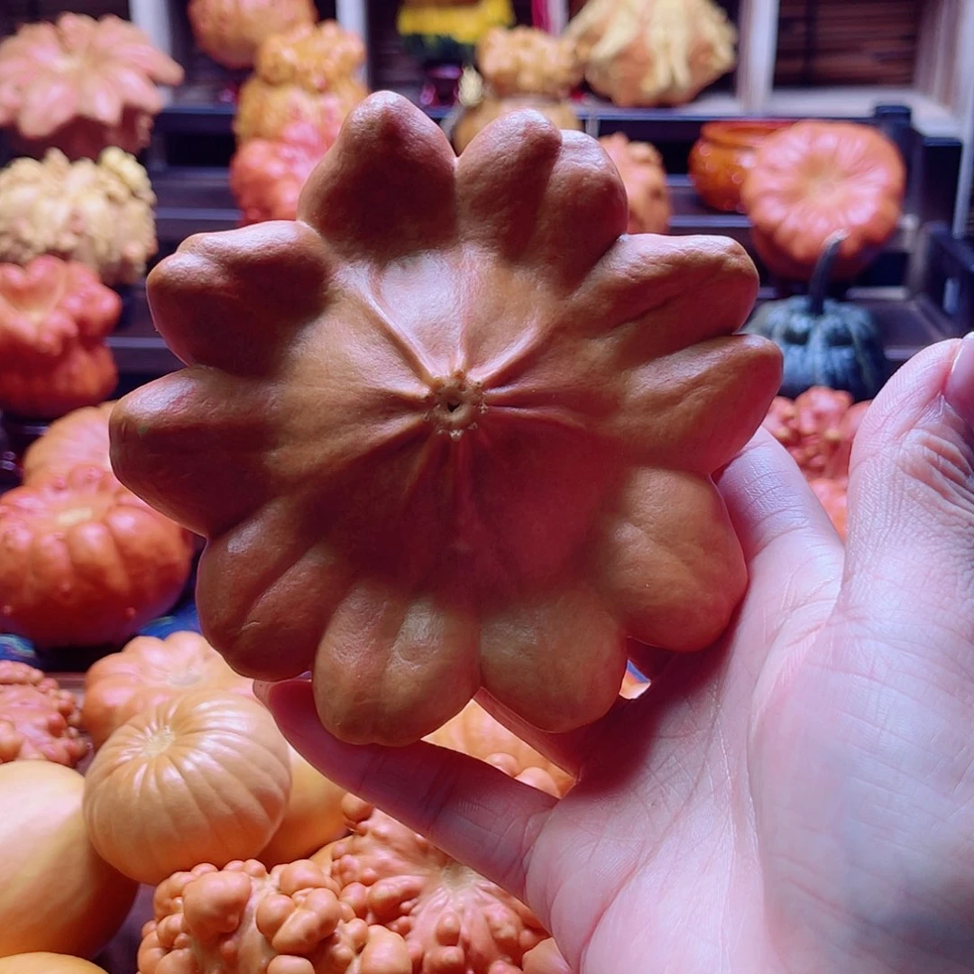 有机玻璃墨西哥葫芦可摆件家居