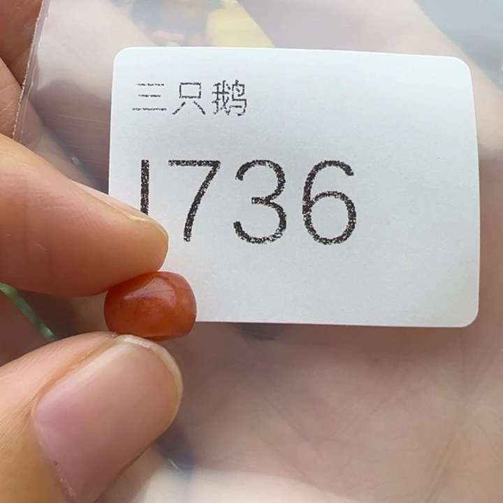 吊坠菩提根/象牙果