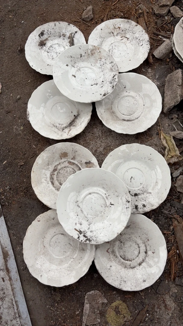 景德镇高温陶瓷白胎6寸菜碟10个