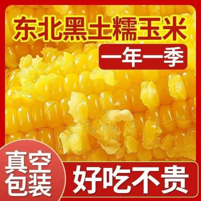 【整箱10支】东北甜糯黄玉米新鲜甜糯黄玉米真空包装黏甜玉米棒