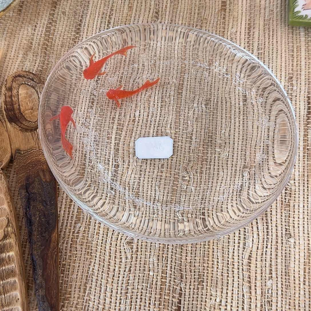 茶盏哈哈我也是很喜欢的呢