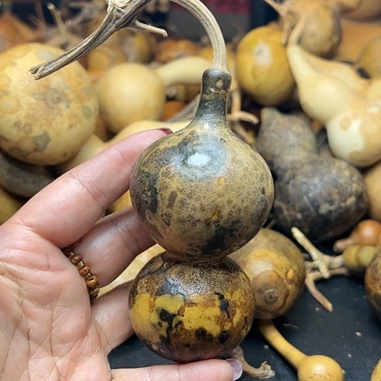 晴*葫芦葫芦葫芦葫芦葫芦