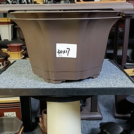 20只30cm中号八方盆