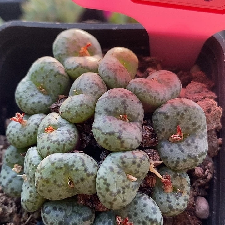 这种天气出门的人4033
