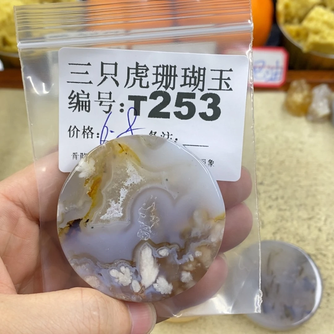 硅化珊瑚（珊瑚玉）1未镶嵌滢