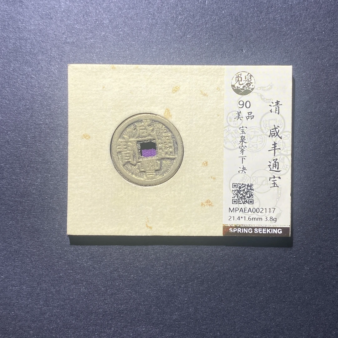 X918-10咸丰通宝2117--