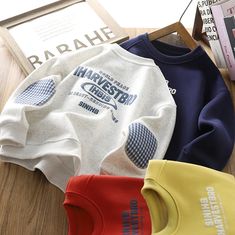 男童加绒卫衣2025秋冬新款儿童印花时尚加厚男孩潮酷保暖打底上衣