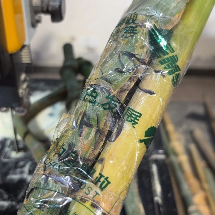竹鸿**絮实心竹竹竹竹竹竹竹