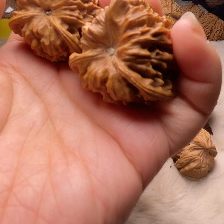 佟**Q拼接三棱核桃核桃核桃