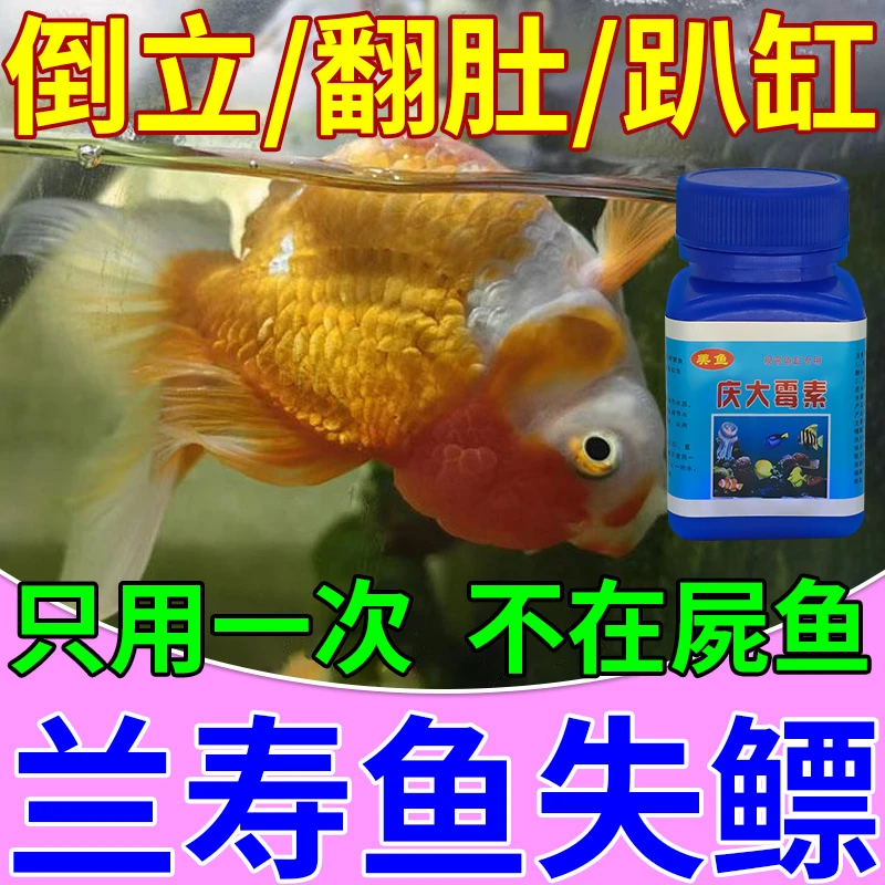兰寿失鳔专用金鱼观赏鱼矫正趴缸翻缸倒立烂身用庆大霉素鱼缸专用