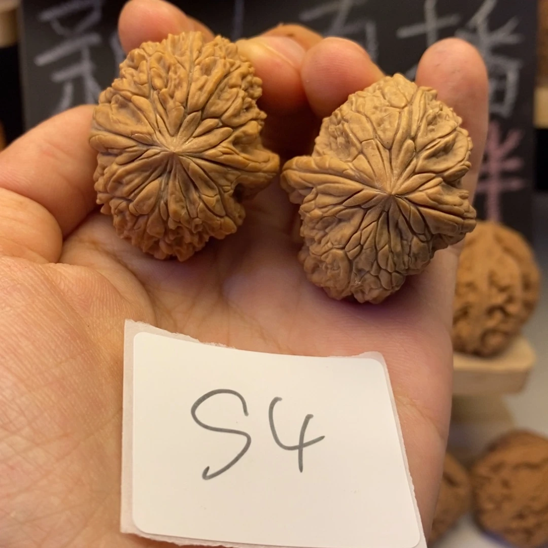S4暴雪狮子头34左右白茬无修