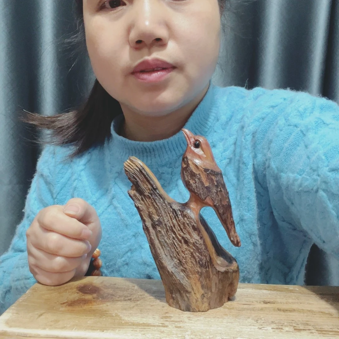 草***力百年树的生长环境