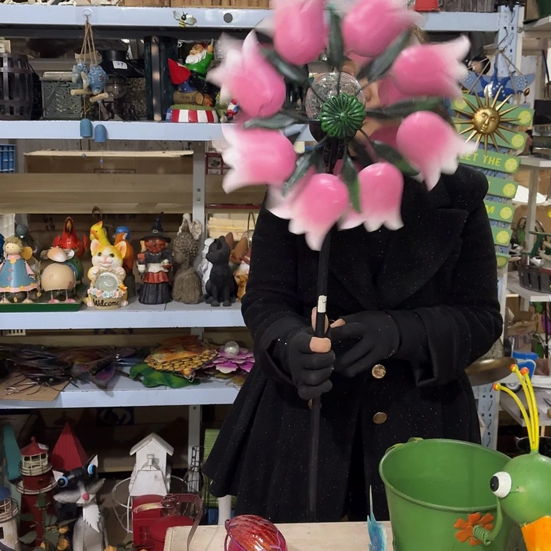 核桃木/黑胡桃（胡桃木）