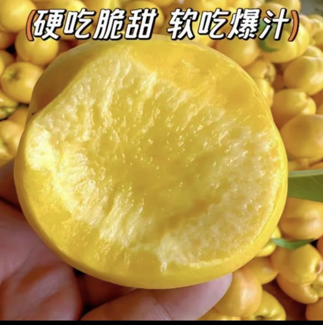 【顺丰/京东包邮】正宗沂蒙山区黄金蜜黄桃现摘现发新鲜多汁果香浓