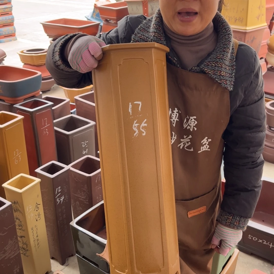 花盆紫砂盆景艺术