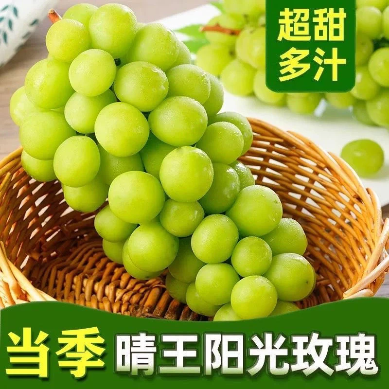 【顺丰速运】云南阳光玫瑰葡萄新鲜水果青提晴王香印无籽提子应季