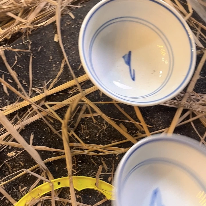 陶哈哈哈这不也很