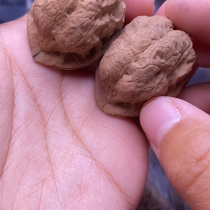 把件文玩核桃   6