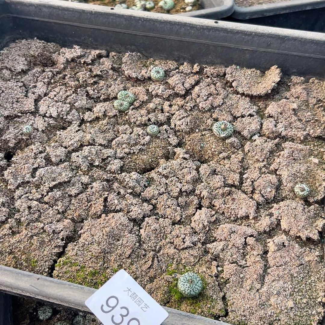 清框脱土发。    939