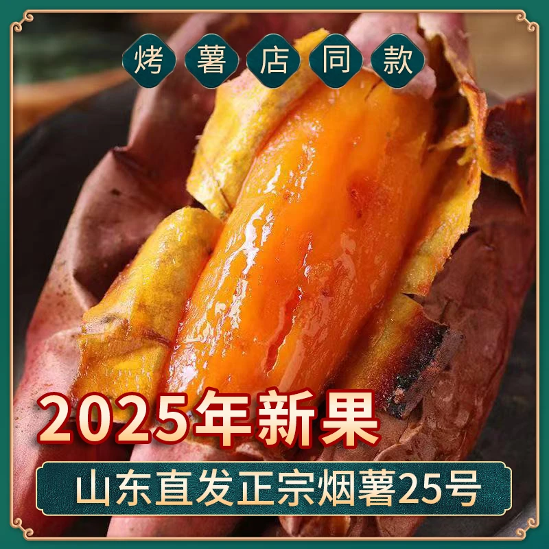 山东特产烟薯25号新鲜糖心蜜薯蒸煮烤皆可香甜流油4.5斤