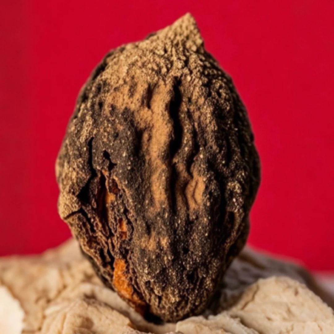 野生桃枭桃核吊坠深纹正月采摘东南枝