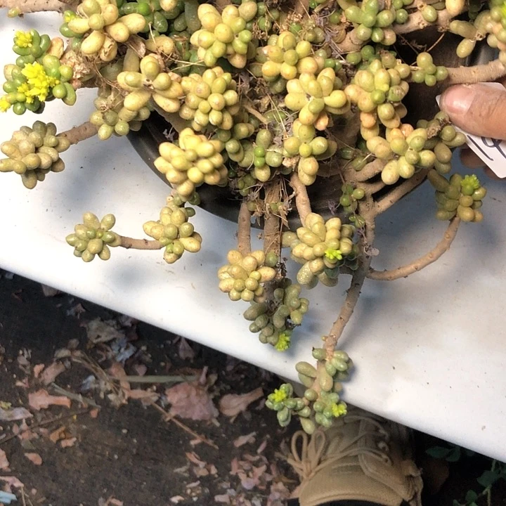 要****?141////////////////