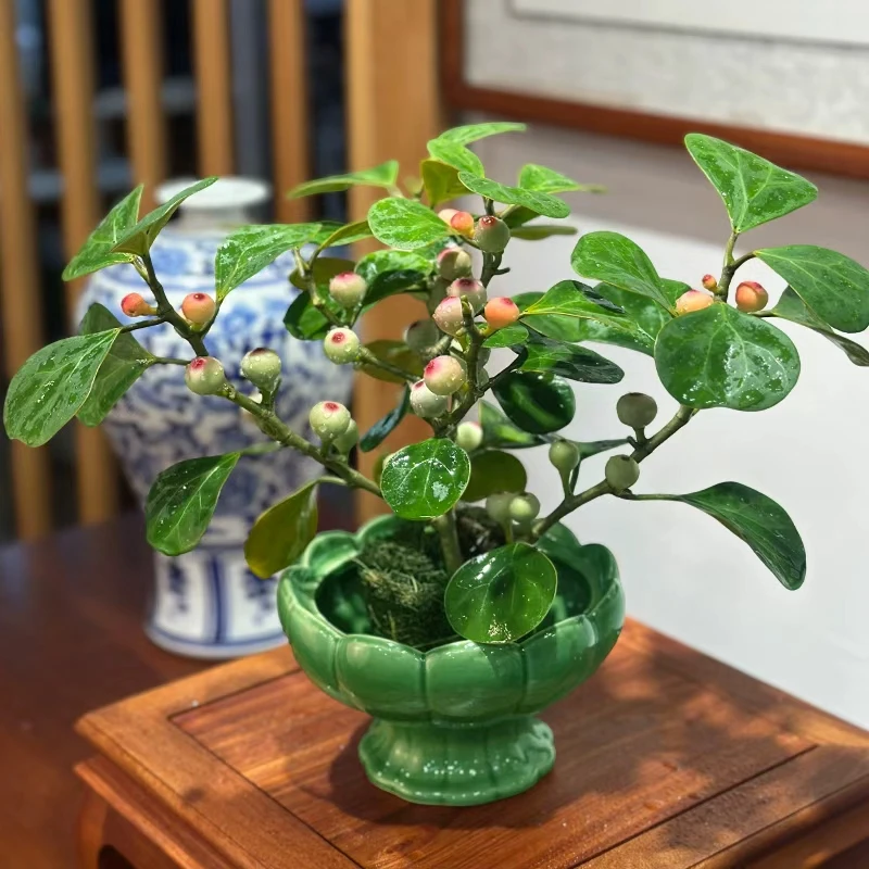 【绿莲花盆 小盼菩提盆栽】精品禅意植物室内绿植客厅摆件好养盆景