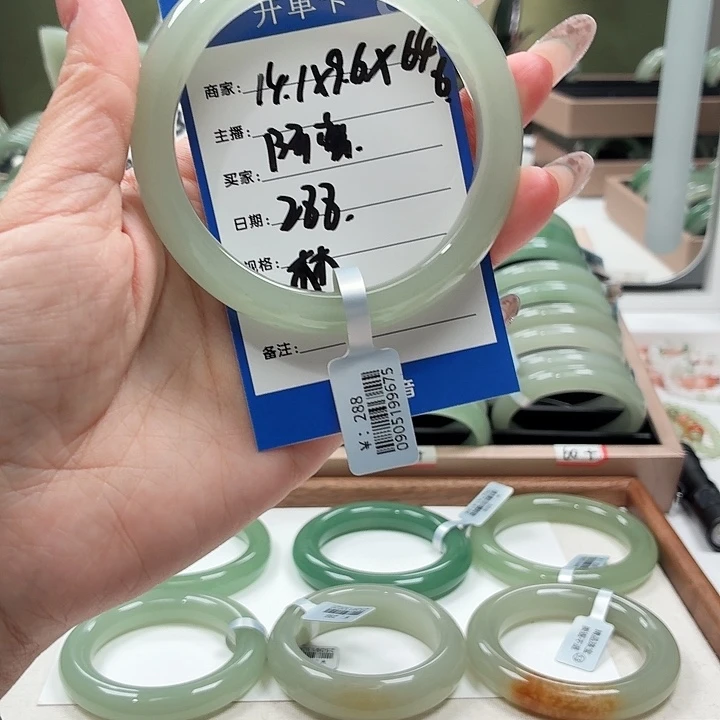 飞***鱼未镶嵌手镯石英岩玉