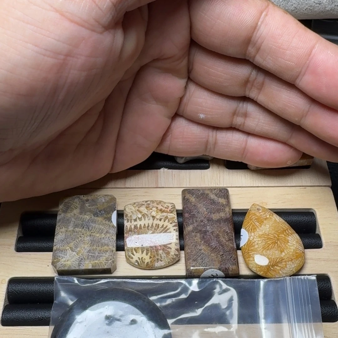 一***界硅化玉纯天然色有机玉石保真色未镶嵌