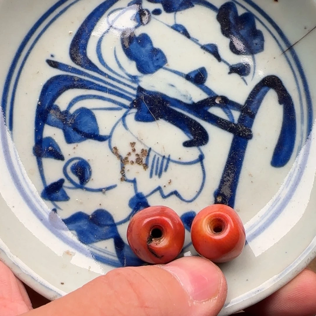 大***光盘哦呃啊啊啊啊啊啊