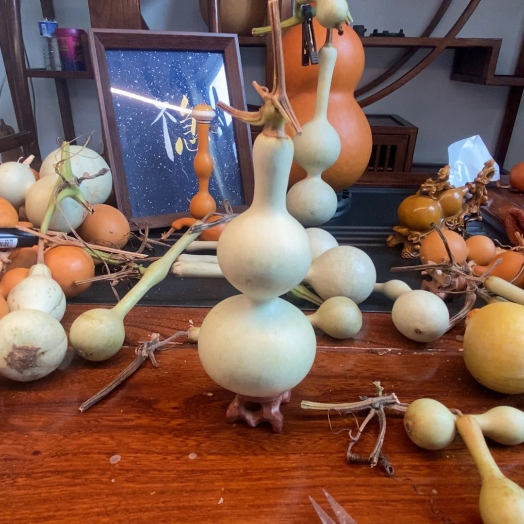 文***行青皮不包不退不换！