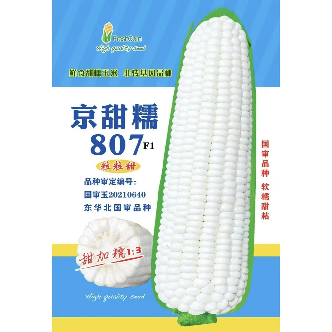 京甜糯807玉米种子 甜加糯型鲜食白糯玉米 加甜