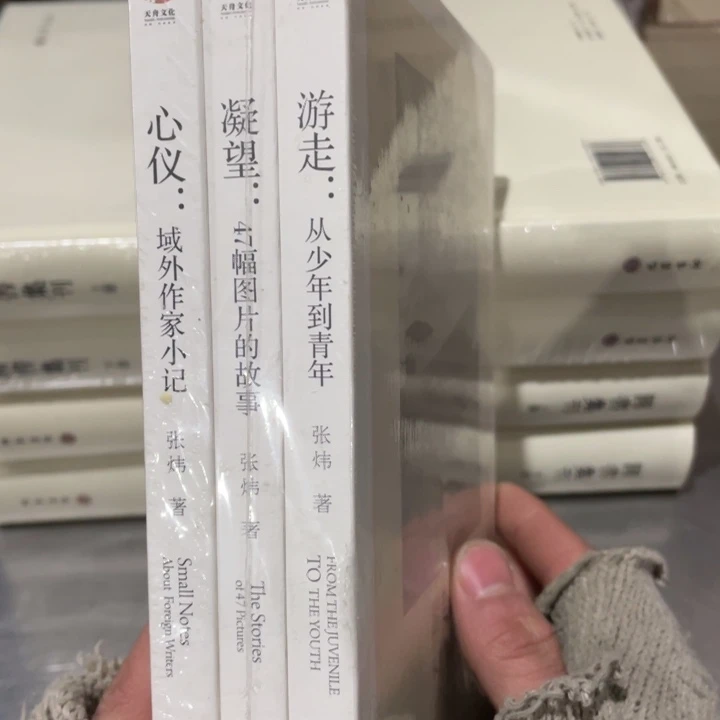 张炜三册合售正版塑封