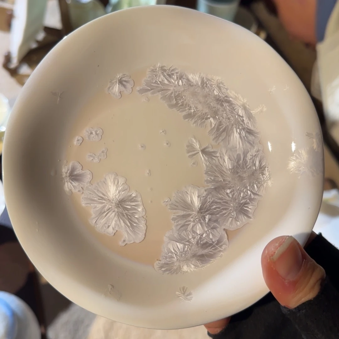 李*树陶瓷陶瓷陶瓷陶瓷