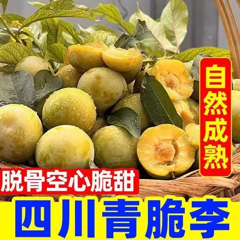 【珍珠棉装】四川青脆李脱骨李新鲜应季水果脆甜脱骨